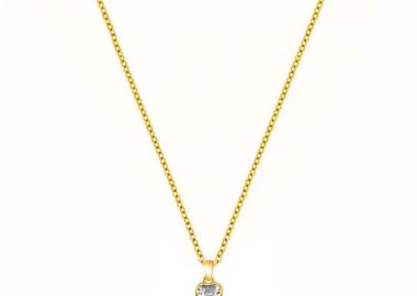 Κολιέ Από Ασήμι 925 Επιχρυσωμένο 24Κ Με Καρδιά Από Ζιργκόν DM11450 - AMOR AMOR - 