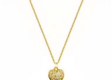 Κολιέ Από Ασήμι 925 Επιχρυσωμένο 24Κ Με Καρδιά Από Ζιργκόν DM11457 - AMOR AMOR - 