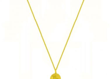 Κολιέ Από Ασήμι 925 Επιχρυσωμένο 24Κ Με Το Ζώδιο Του Αιγόκερου DM11520 - AMOR AMOR - 