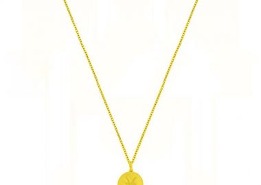 Κολιέ Από Ασήμι 925 Επιχρυσωμένο 24Κ Με Το Ζώδιο Του Ιχθύ DM11526 - AMOR AMOR - 