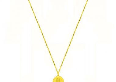 Κολιέ Από Ασήμι 925 Επιχρυσωμένο 24Κ Με Το Ζώδιο Του Σκορπιού DM11514 - AMOR AMOR - 