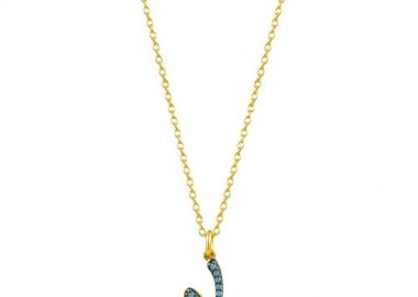 Κολιέ Από Ασήμι 925 Επιχρυσωμένο Με Μονόγραμμα ν SU16481 - AMOR AMOR - 