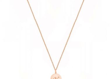 Κολιέ Από Ασήμι 925 Ροζ Επιχρυσωμένο 24Κ Με Μονόγραμμα DM11530 - AMOR AMOR - 