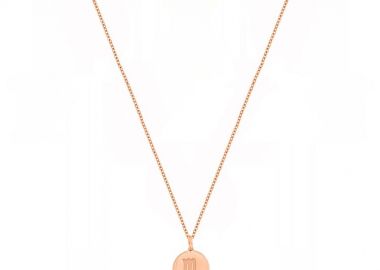 Κολιέ Από Ασήμι 925 Ροζ Επιχρυσωμένο 24Κ Με Το Ζώδιο Του Σκορπιού DM11515 - AMOR AMOR - 