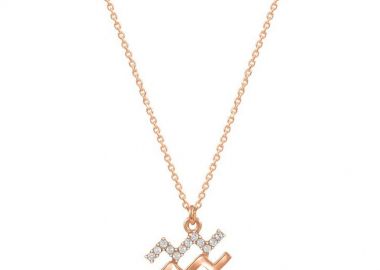 Κολιέ Από Ασήμι 925 Ροζ Επιχρυσωμένο Με Το Ζώδιο Του Υδροχόου EX16541 - AMOR AMOR - 