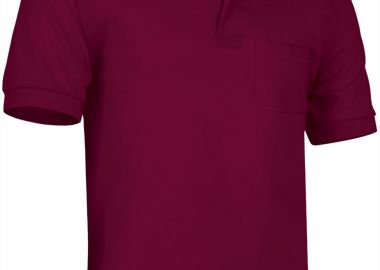 Κοντομάνικο Polo Shirt HAWK Valento POVATOBGT Mahogany Garnet - Valento - 