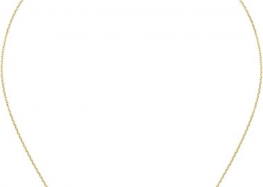 LACOSTE Κολιέ από ανοξείδωτο ατσάλι Gold 2040360 - Lacoste Jewellery - 