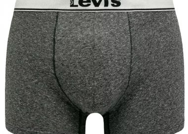Levi