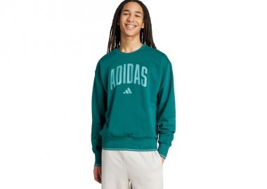 Men's adidas Collegiate Sweatshirt Green JM1733 - adidas performance - 