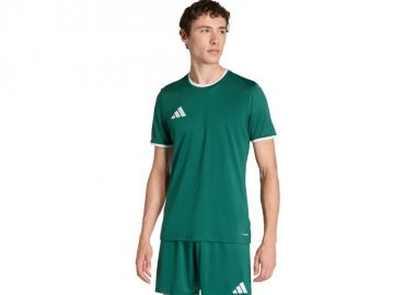 Men's adidas Entrada 26 Jersey green KE9832 - adidas performance - 