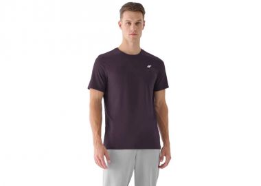 Men's cotton Tshirt 4F 4FWSS25TTSHM309650S - 4f - 