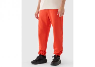 Men's jogger sweatpants 4F 4FWMM00TTROM114062S - 4f - 