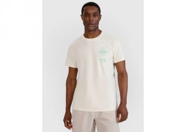 Men's regular printed Tshirt 4F 4FRSS25TTSHM268811S - 4f - 