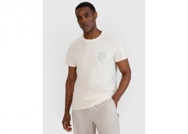 Men's regular printed Tshirt 4F 4FWSS25TTSHM198011S - 4f - 