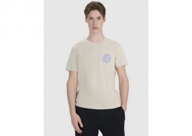 Men's regular printed Tshirt 4F 4FWSS25TTSHM198083S - 4f - 