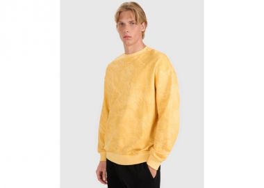 Men's sweatshirt without zipper without hood 4F 4FWSS25TSWSM158271A -  - 