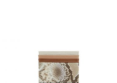 Μπεζ καρτοθήκη YALECIA - ALDO - 