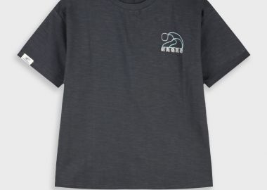 Μπλούζα - ΑΝΘΡΑΚΙ 13-226047-5 - energiers - 