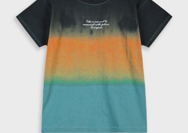 Μπλούζα - ΠΡΑΣΙΝΟ ΤΗΣ ΕΡΗΜΟΥ 13-226037-5 - energiers - 