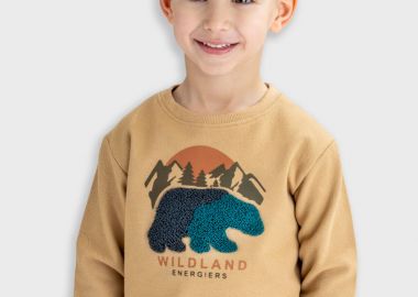 Μπλούζα φούτερ - ΜΠΕΖ 12-125117-5 - energiers - 