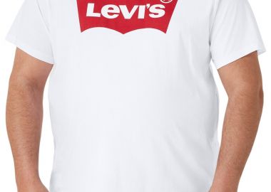 Μπλούζα Κοντομάνικη Levi's B&T Big Graphic 567600015-15 Ανδρικό - Levi's - 