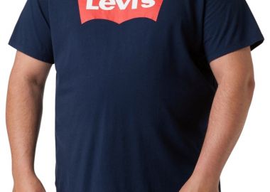 Μπλούζα Κοντομάνικη Levi's B&T Big Graphic 567600024-24 Ανδρικό - Levi's - 