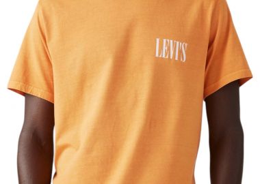 Μπλούζα Κοντομάνικη Levi's Relaxed Fit Graphic 161431684-84 Ανδρικό - Levi's - 