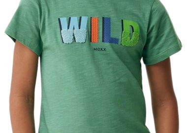 Μπλούζα Κοντομάνικη Mexx With Artwork TU2169033B-Vintage Green Αγόρι - Mexx - 