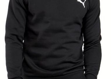 Μπλούζα Μακρυμάνικη Puma ESS Small Logo Crew FL 586682-51 Ανδρικό - Puma - 