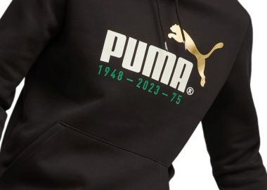 Μπλούζα Μακρυμάνικη Puma Logo Celebration Hoodie FL 676021-01 Ανδρικό - Puma - 