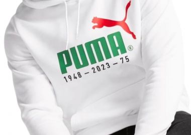 Μπλούζα Μακρυμάνικη Puma Logo Celebration Hoodie FL 676021-02 Ανδρικό - Puma - 