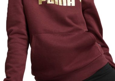 Μπλούζα Μακρυμάνικη Puma Metallic Logo Hoodie FL 849958-42 Γυναικείο - Puma - 