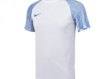 Nike DriFIT Academy DH8031 102 Tshirt - Nike - 