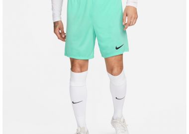 Nike Dry Park III Αθλητική Ανδρική Βερμούδα Dri-Fit Light Green BV6855-354 - Nike - 