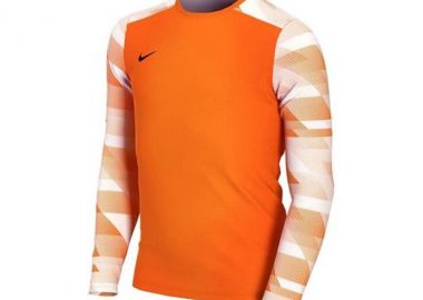 Nike Dry Park IV CJ6072-819 Παιδική Φανέλα Τερματοφύλακα Ποδοσφαίρου - Nike - 