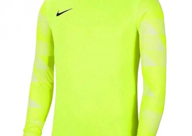 Nike Dry Park IV JSY Jr LS CJ6072702 - Nike - 