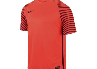Nike Gardien 725889-671 Ανδρική Φανέλα Τερματοφύλακα Ποδοσφαίρου - Nike - 