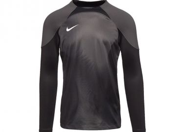 Nike Gardien IV DH7967-060 Ανδρική Φανέλα Τερματοφύλακα Ποδοσφαίρου - Nike - 