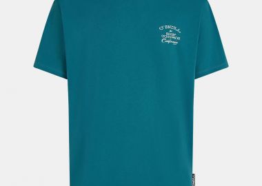 O'NEILL BEACH CHEST PRINT T-SHIRT ΠΡΑΣΙΝΟ - O'NEILL - 