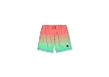 O'Neill Jack Cali Gradient 14'' Swim Shorts Jr 92800613570 - ONeill - 