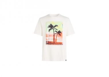 O'Neill Jack Neon TShirt M 92800613598 - ONeill - 