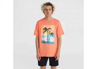 O'Neill Jack Neon TShirt M 92800613602 - ONeill - 