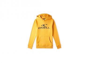 O'Neill Logo Hoodie Jr 92800615006 - ONeill - 