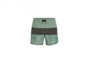 O'Neill MixMatch Cali Block swim shorts 15'' M 92800613820 - ONeill - 