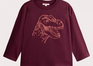 Παιδική Μπλούζα για Αγόρια Burgundy Dino ΜΠΟΡΝΤΟ - DPAM - 