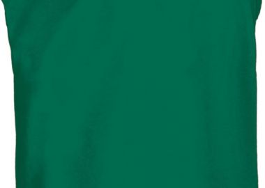 Παιδικό Αμάνικο T-shirt CHARLIE Valento CAVACHLVK_kids Kelly Green - Valento - 