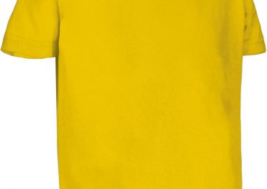 Παιδικό Κοντομάνικο T-Shirt DINO Valento CAVADINGS_kids Sunflower Yellow - Valento - 