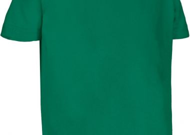 Παιδικό Κοντομάνικο T-Shirt DINO Valento CAVADINVK_kids Kelly Green -  - 