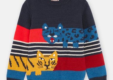 Παιδικό Πουλόβερ γιια Αγόρια Multicolour Tigers ΜΠΛΕ - DPAM - 