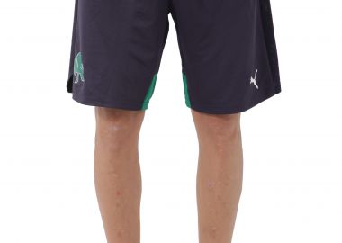 Panathinaikos Puma Σορτς 749562-02-02 Ανδρικό - Panathinaikos - 